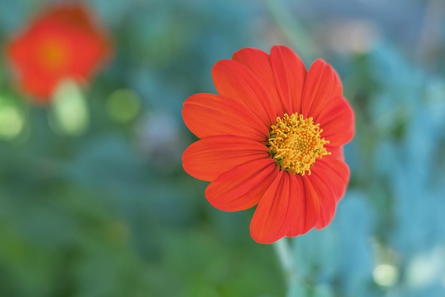 分的答卷 分的答卷