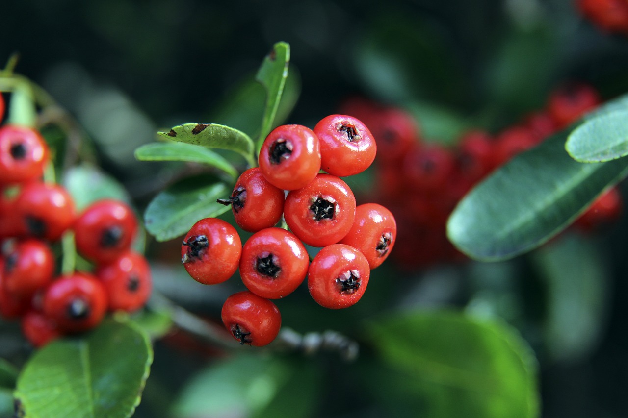 供了更多的 供了更多的