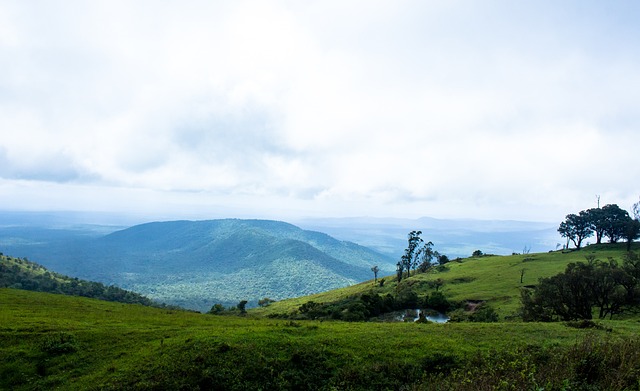 官方：巴萨总价6200万欧签奥尔莫，解约金5亿欧.