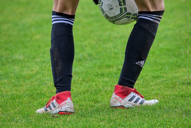 杜蘭特盛讚 杜蘭特盛讚