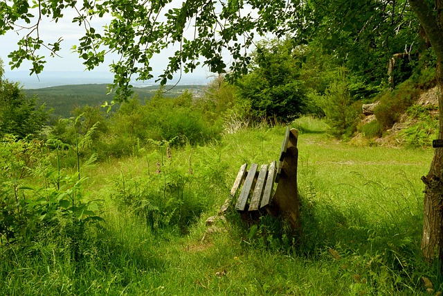 萧华最终决定全明星递补！霍华德喊话：让欧文进入全明星吧.