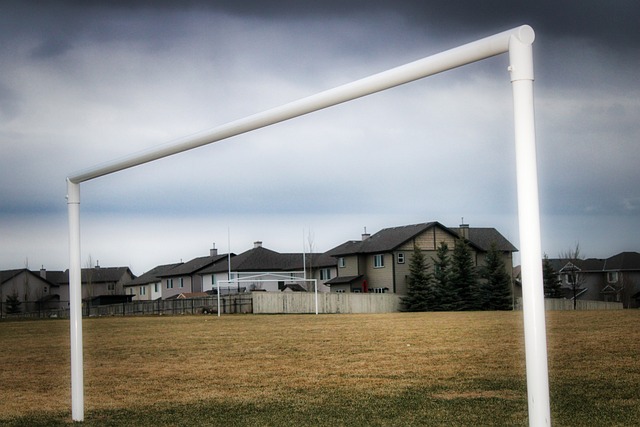 面对这样的 面对这样的